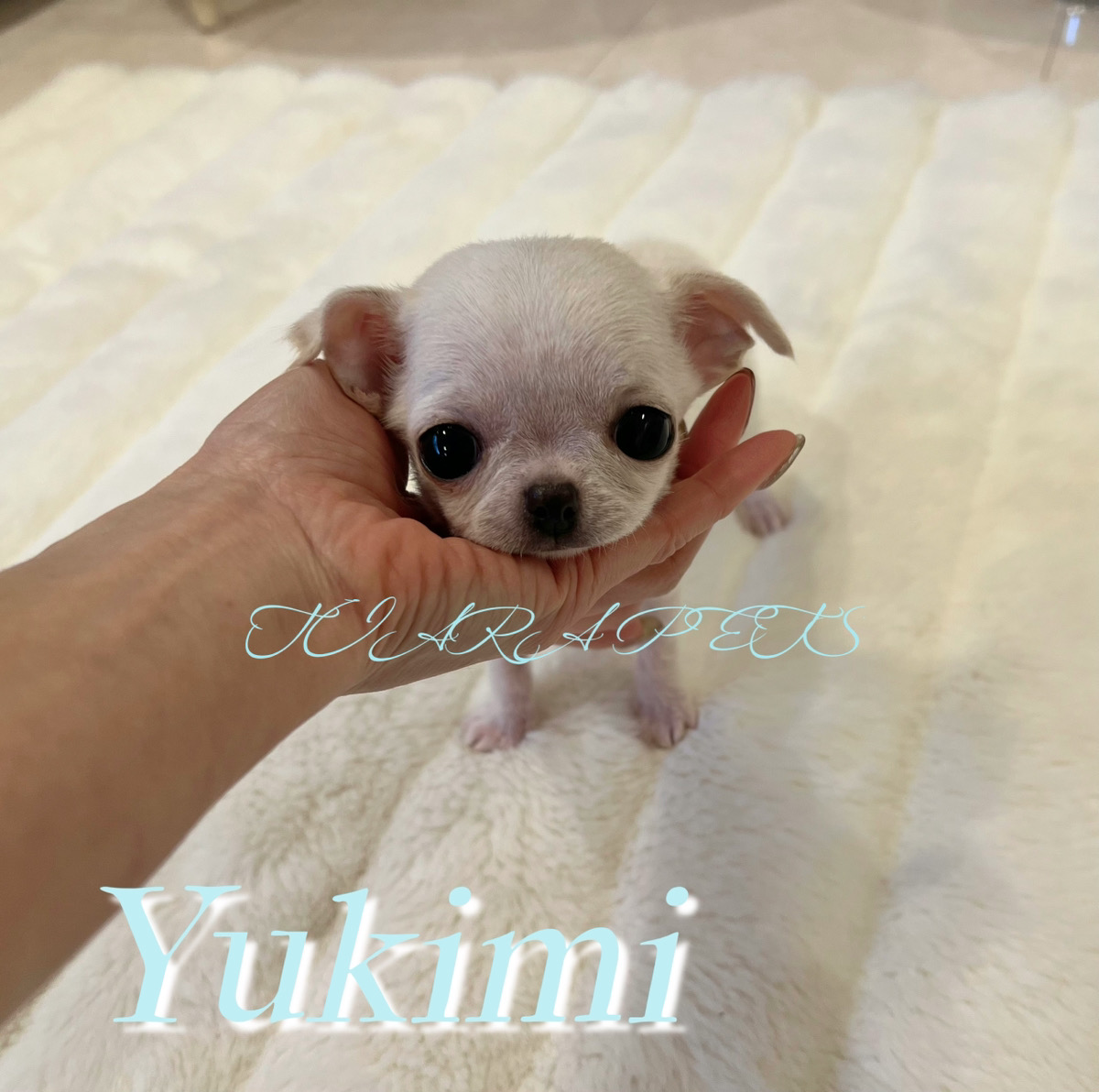 垂れ目の瞳が印象的なゆきみくん⭐️