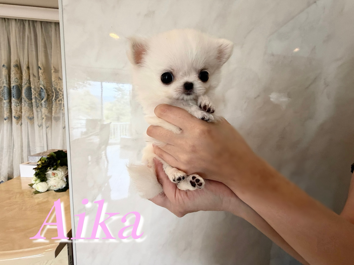 人懐っこく愛くるしいあいかちゃん✨