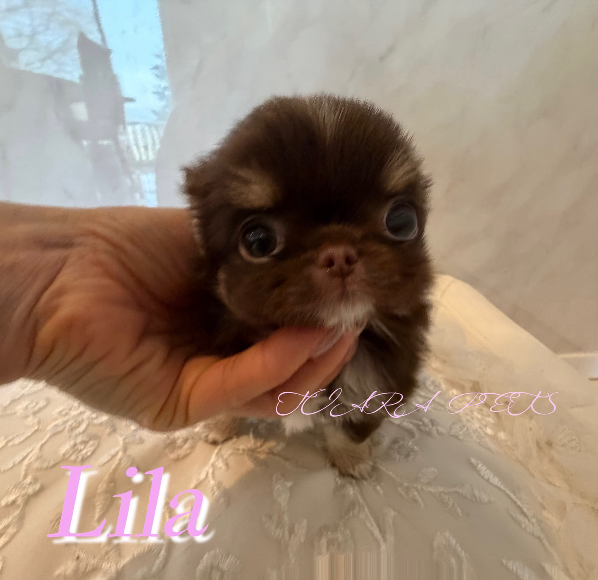 おっとりとした性格のリラちゃん✨