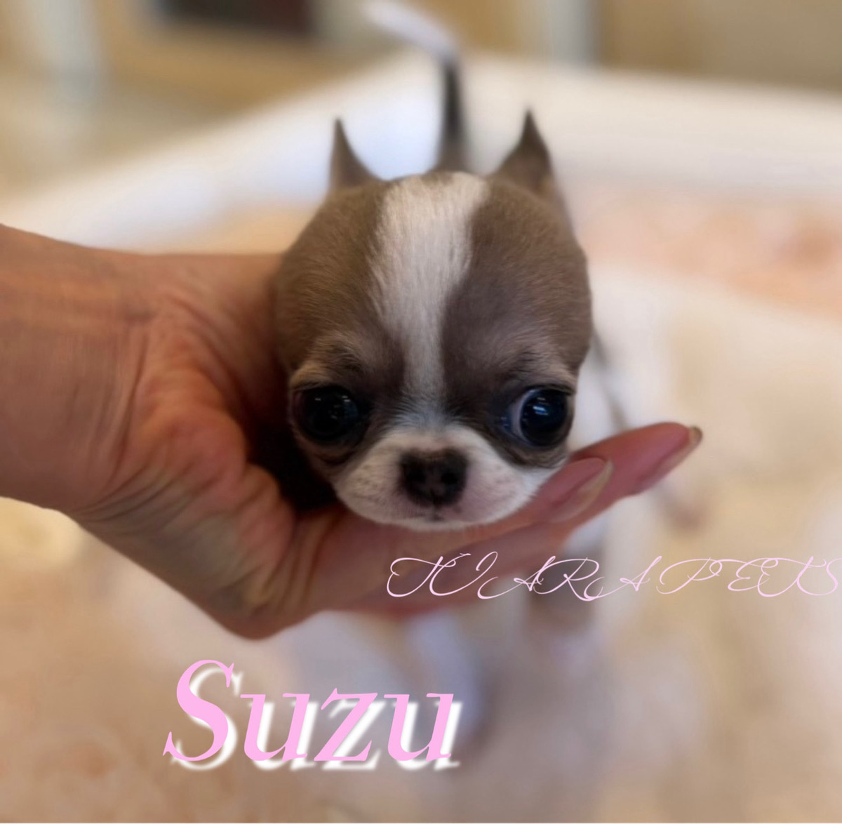 瞳が印象的なすずちゃん🧸