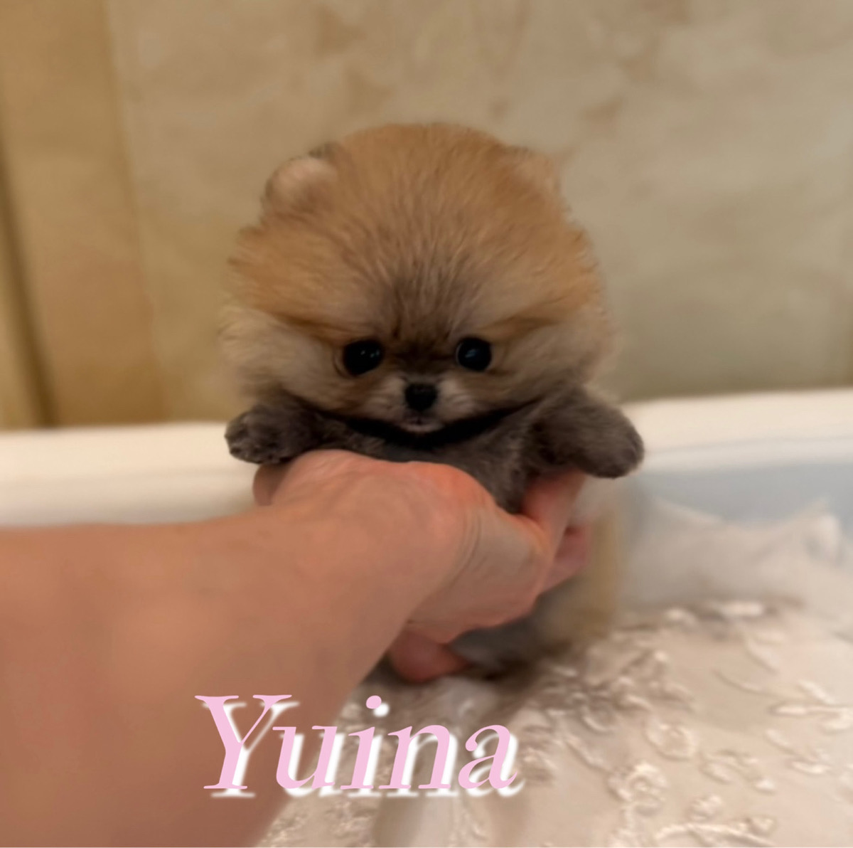 垂れ目が愛くるしいゆいなちゃん🧸
